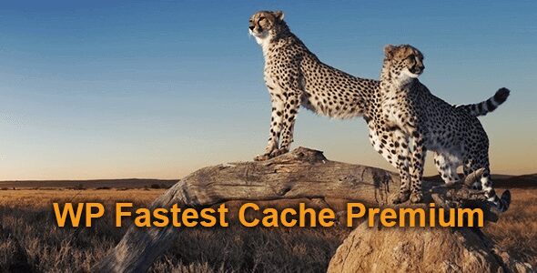 WP-Fastest-Cache-Premium Megadon.xyz free download premium wordpress themes and plugins blogger templates php script